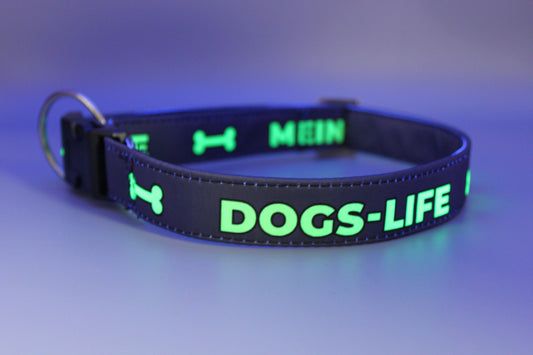 DOGS-LIFE / Mein-Wuff - Hundehalsband