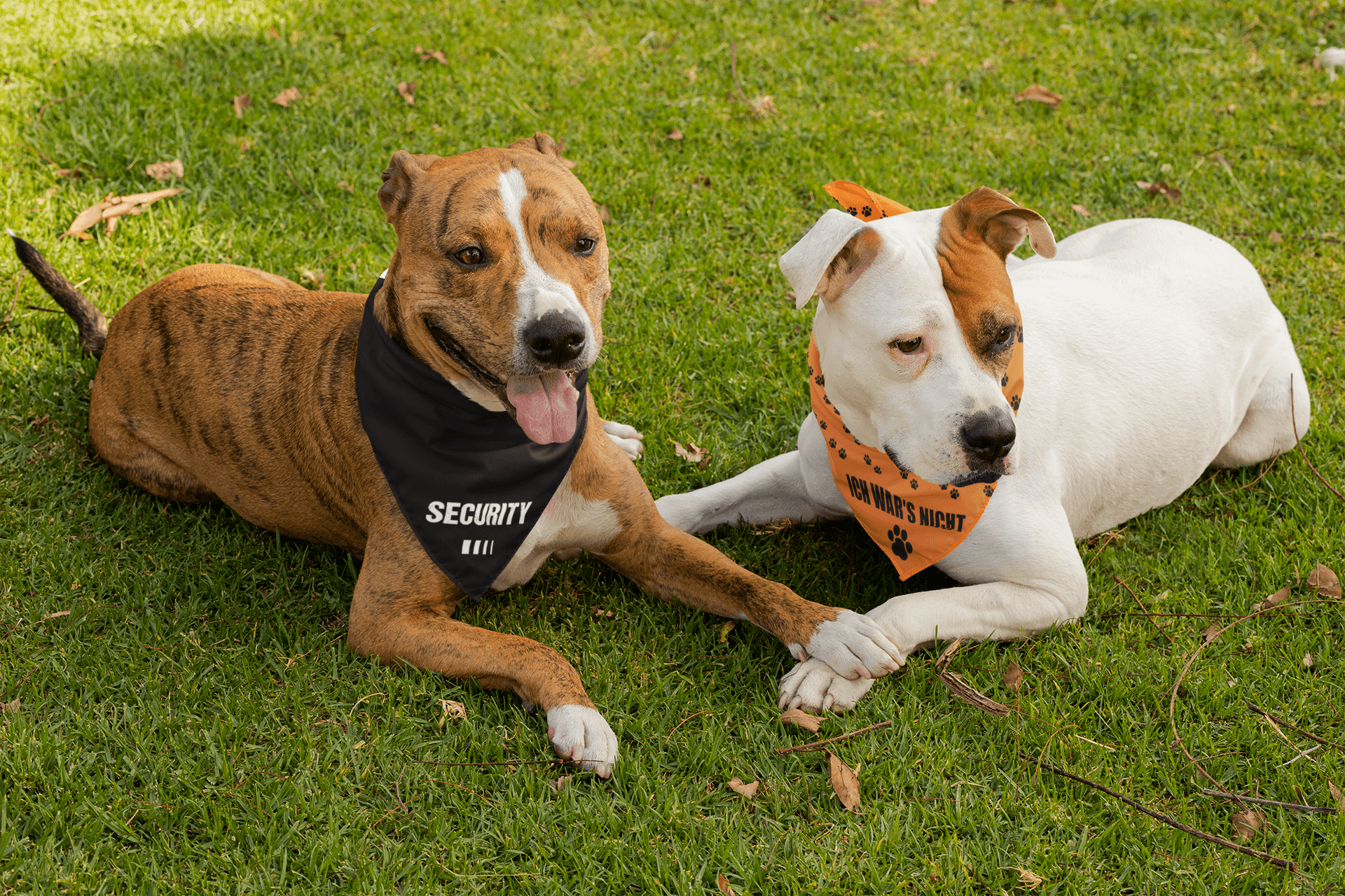 Halstücher / Bandanas