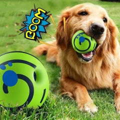 Hundespielzeug Ball Robust - Fellando