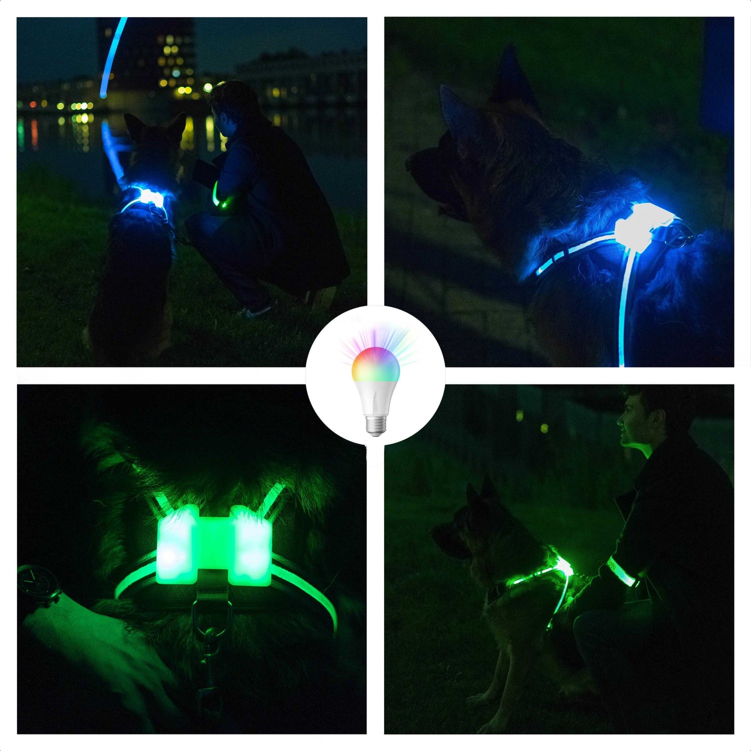 LED Hunde Geschirr mit Farbverlauf USB