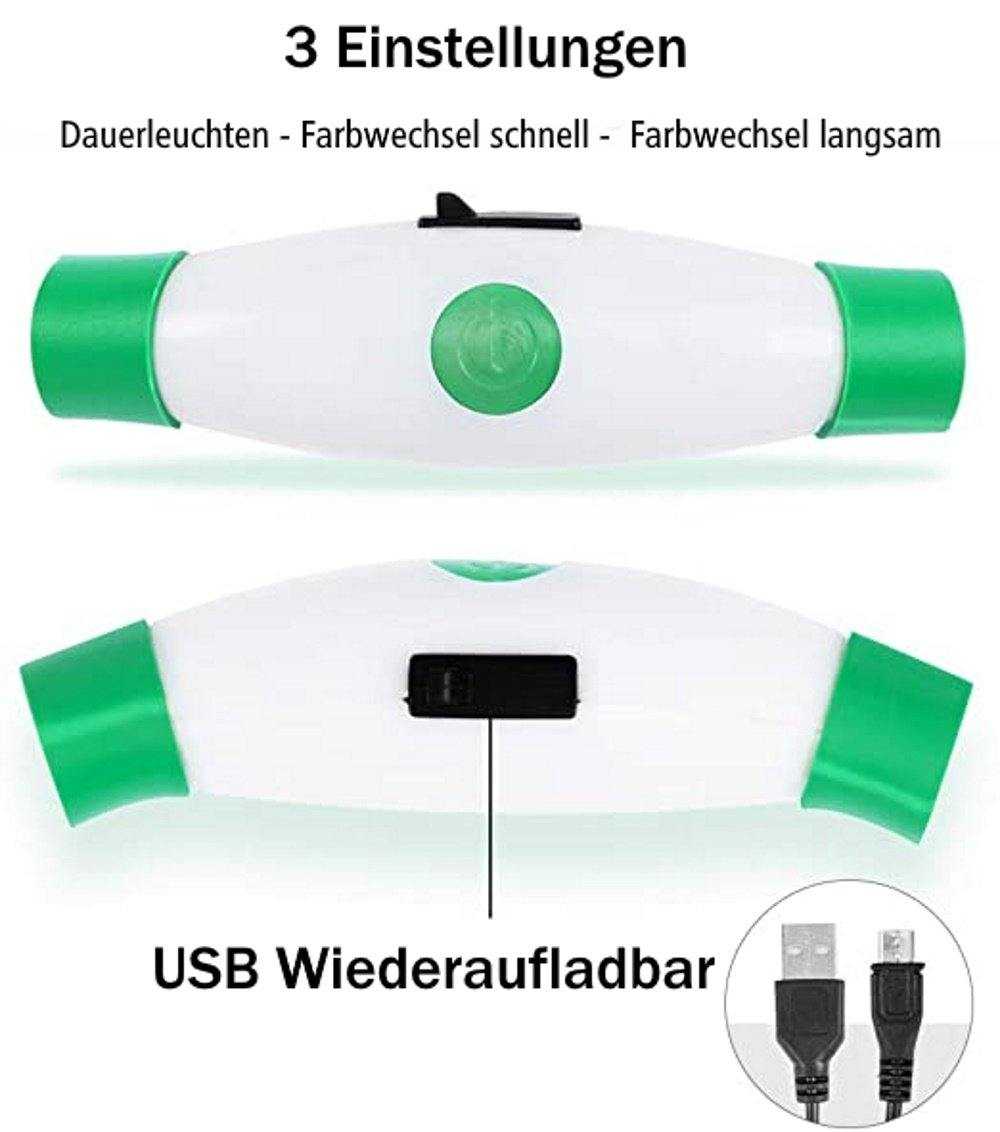 LED Hunde Leuchthalsband  Grün 20- 70cm Hundehalsband