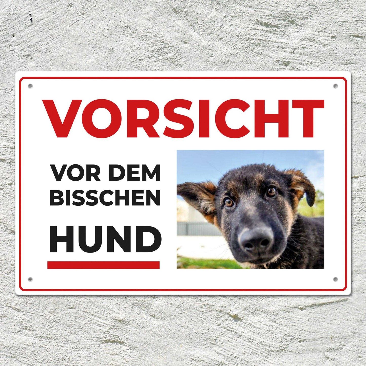 Personalisierbares -Foto- Schild "Bisschen Hund"