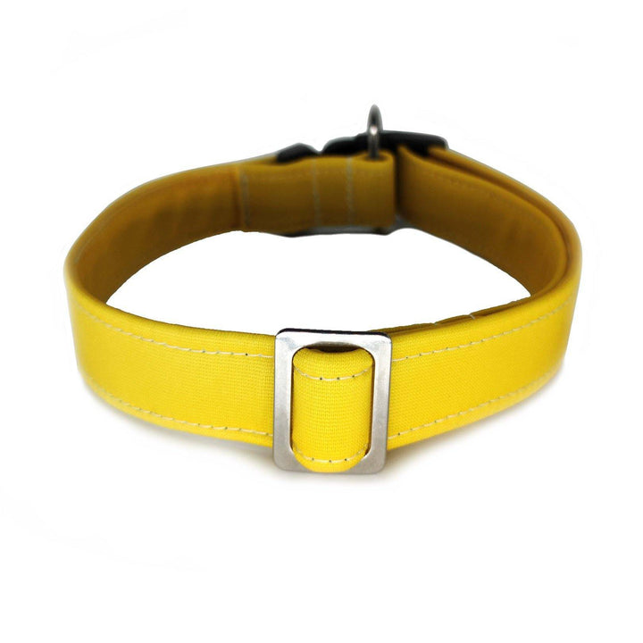 Sterne - schwarz - Neon - Hundehalsband