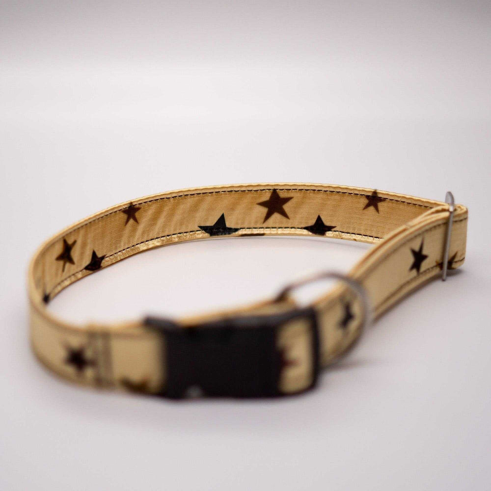 Sterne - Gold - Hundehalsband