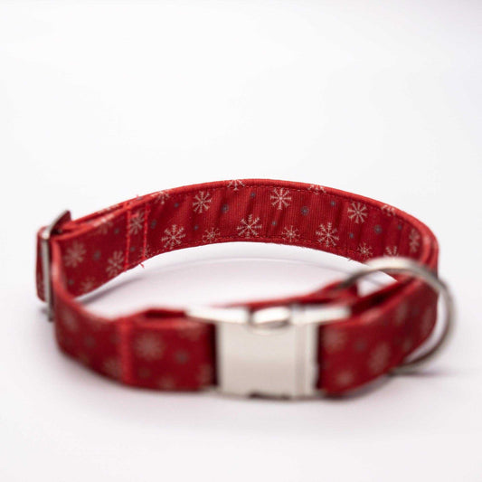 Winter rot - Hundehalsband