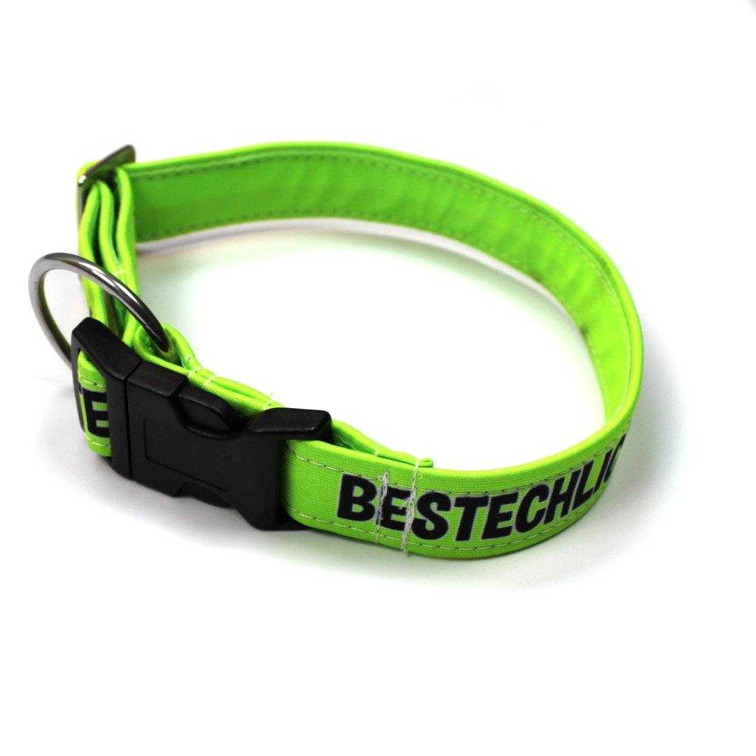 Bestechlich - Neon - Hundehalsband