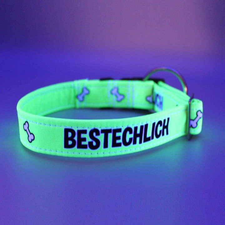 Bestechlich - Neon - Hundehalsband