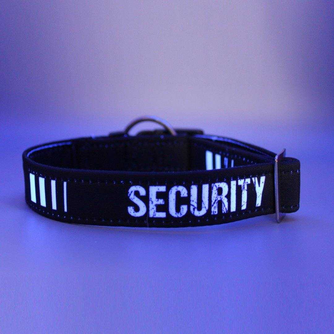 Security - Hundehalsband