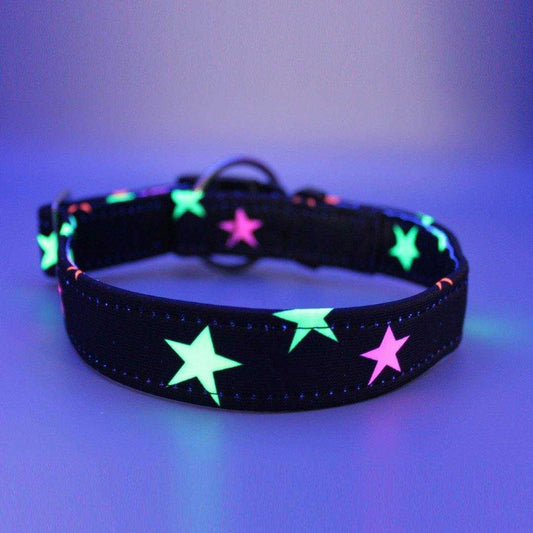 Sterne - schwarz - Neon - Hundehalsband