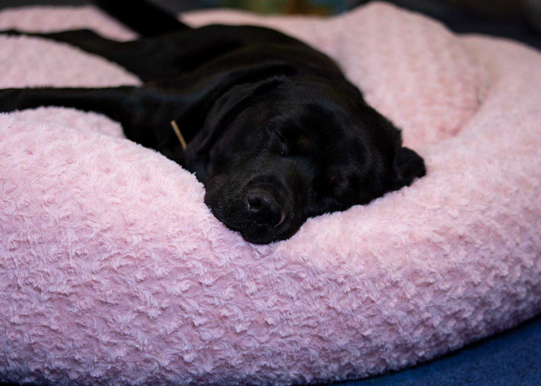 Hundebett Kuschelwolke  mit kuscheligem Plüsch herausnehmbares Kissen einfarbig