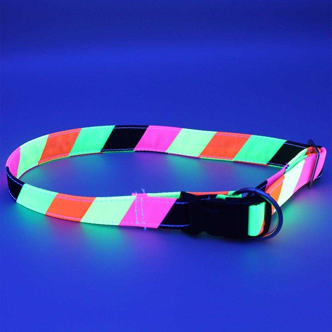Streifen - Neon - Hundehalsband