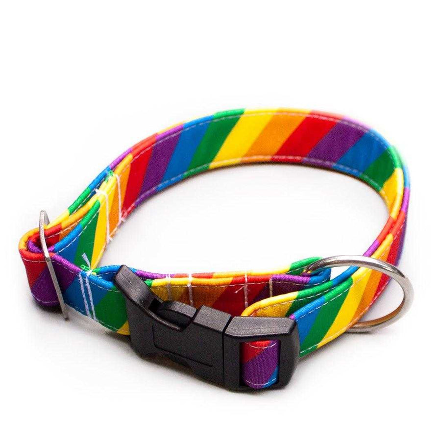 Regenbogen - Hundehalsband