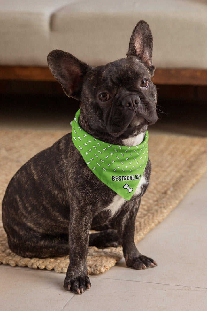 2er Set - Bestechlich - Hunde Halstuch / Bandana für Hunde