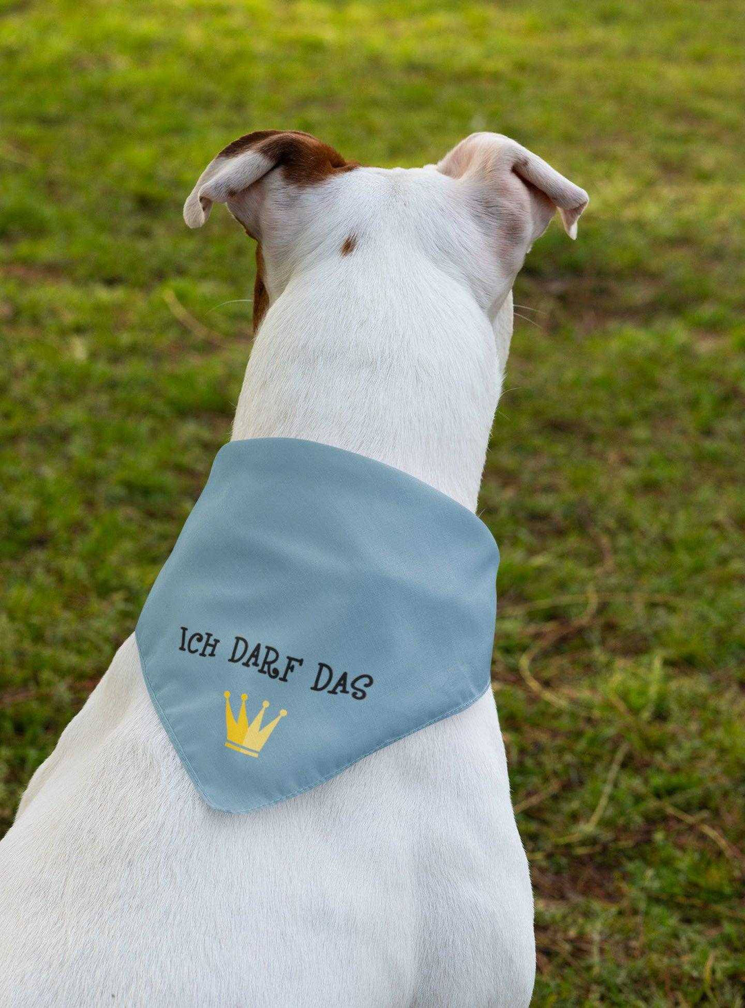 2er Set - Ich darf das - Hunde Halstuch / Bandana für Hunde