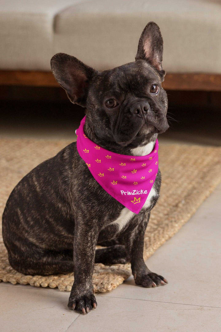 2er Set - PrinZicke rosa - Hunde Halstuch / Bandana für Hunde