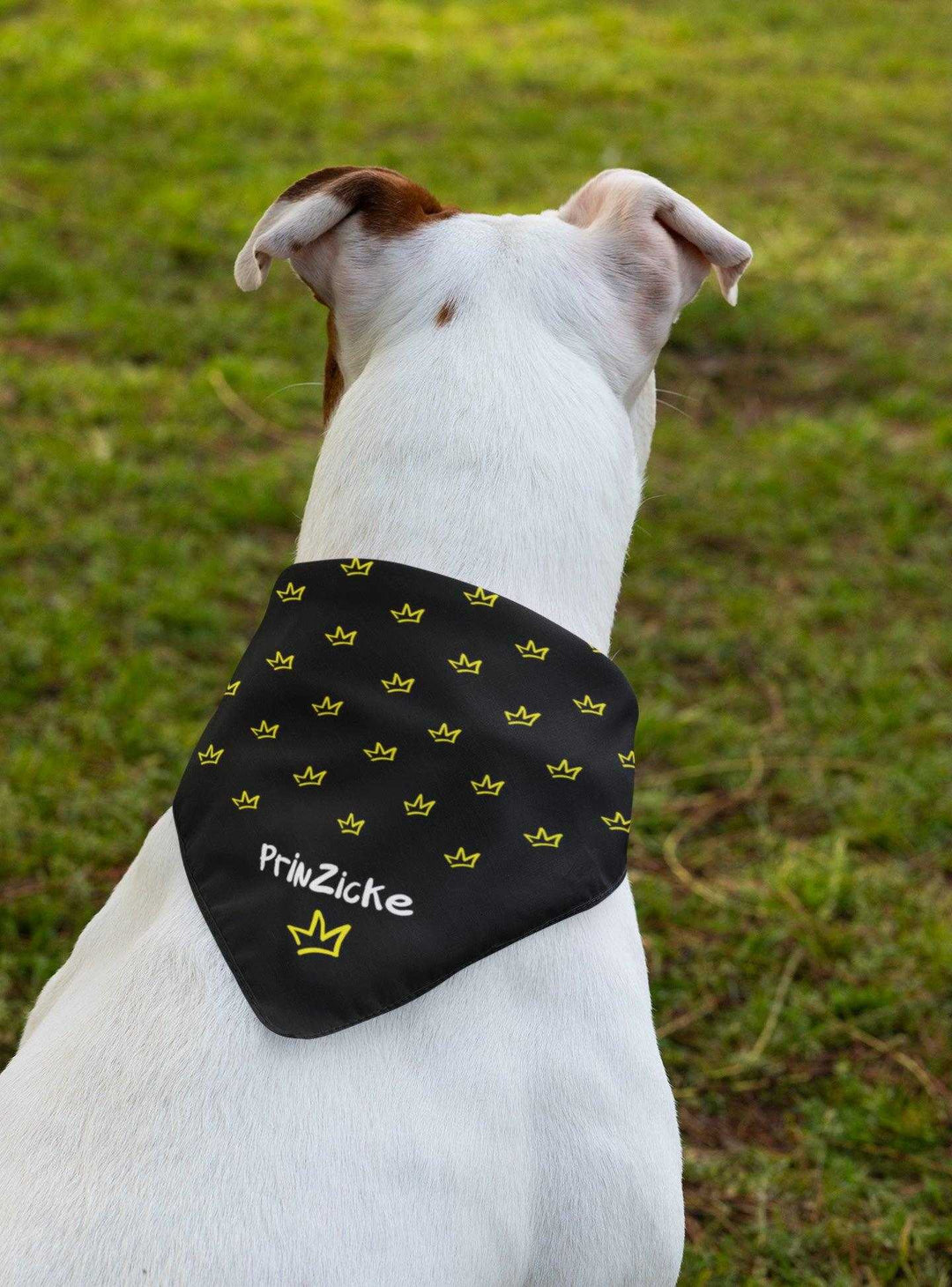 2er Set - PrinZicke schwarz - Hunde Halstuch / Bandana für Hunde