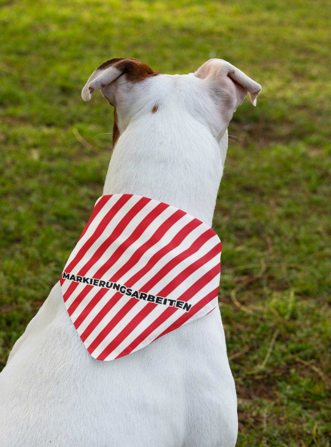 2er Set - Markierungsarbeiten - Hunde Halstuch / Bandana für Hunde