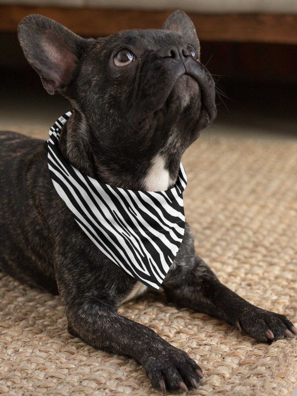 2er Set - Zebra - Hunde Halstuch / Bandana für Hunde