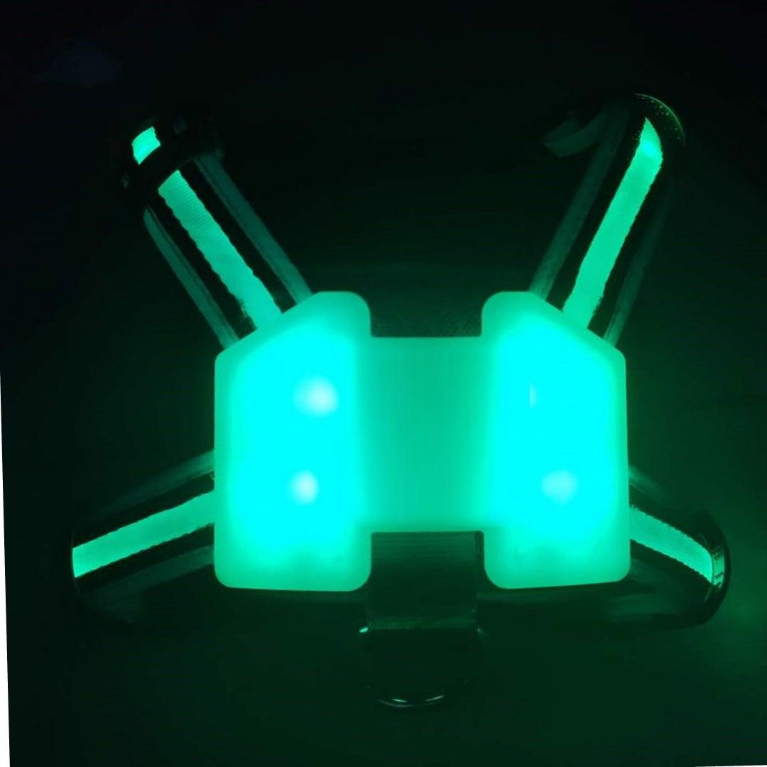 LED Hunde Geschirr mit Farbverlauf USB